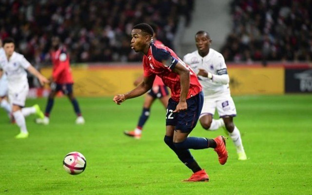 的稳定人选 的稳定人选